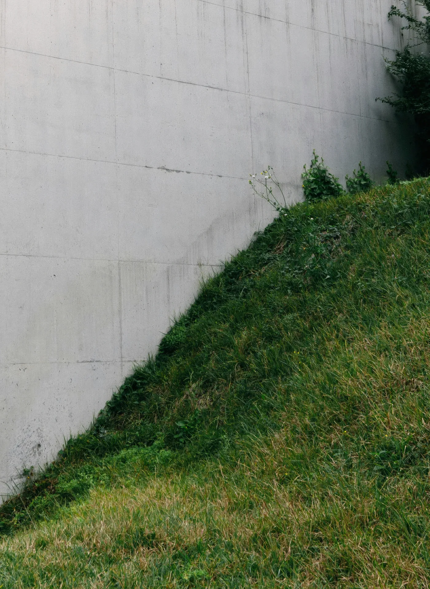 poured concrete retaining wall at a Abbotsford home