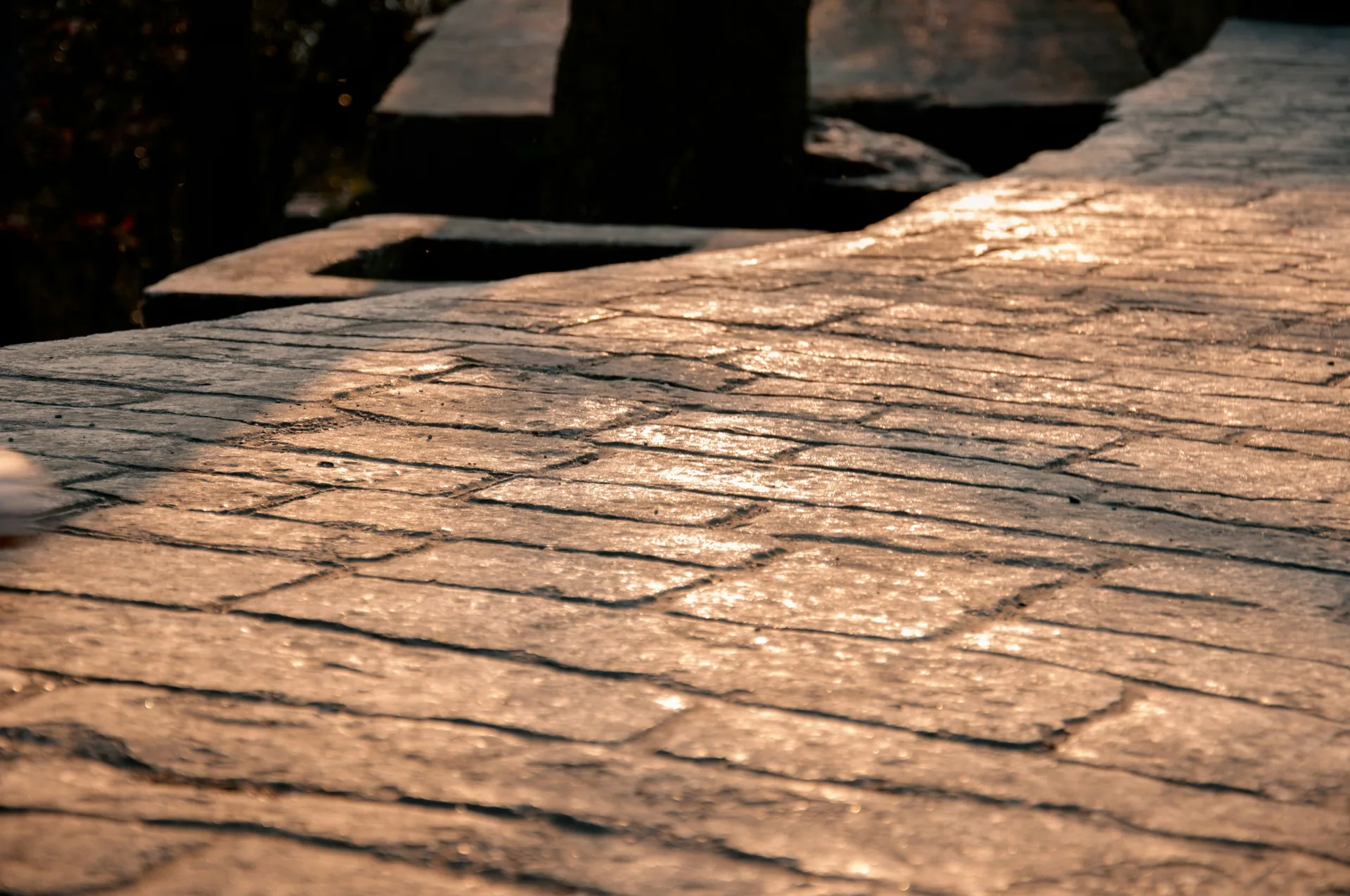 stamped concrete walkway finished at golden hour in Abbotsford